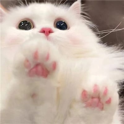 Manny Villar's avatar