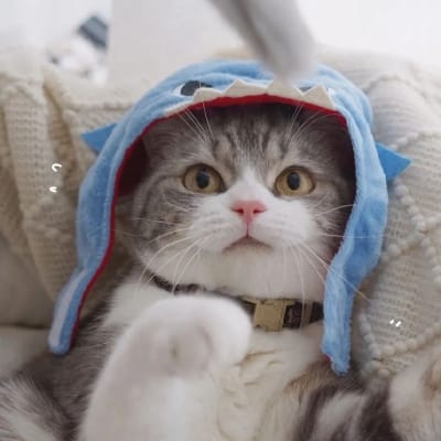 Toni Gonzaga's avatar